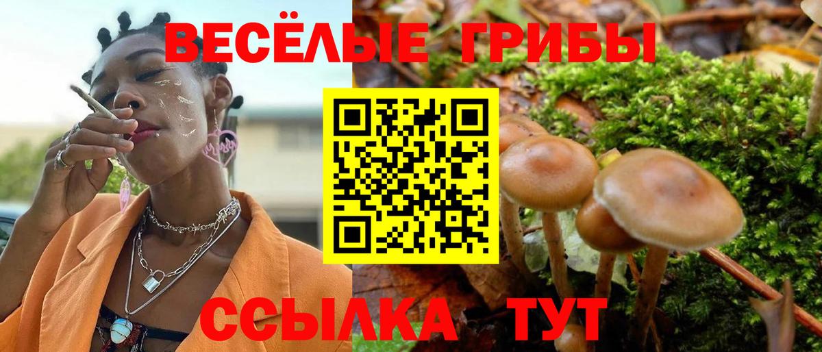 ГАШ Киржач