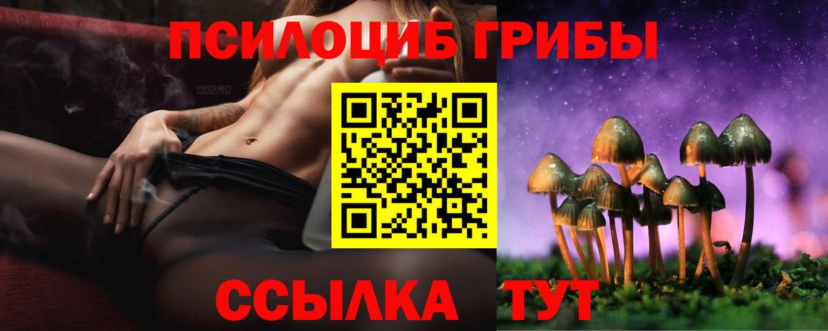 где продают   Галлюциногенные грибы мицелий  Вход с VPN  Киржач 